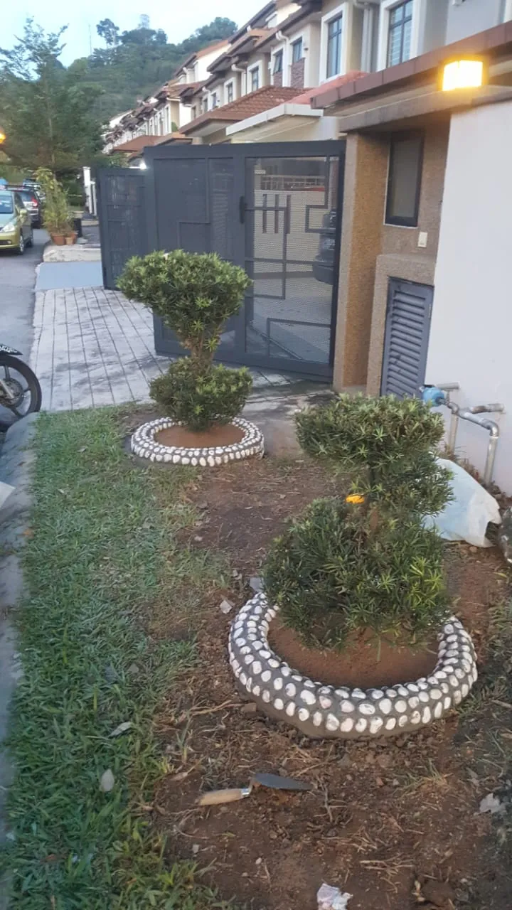 Pruning & Hedge Service
Rosebush Maintenance