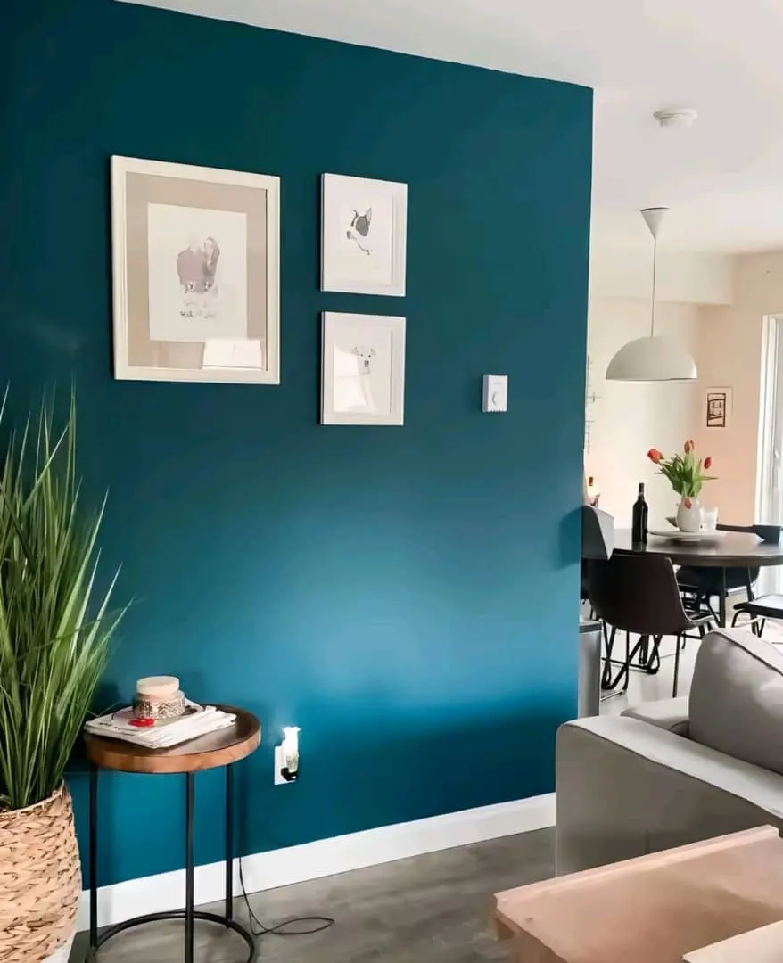 Professional Painting Services in KL & Selangor